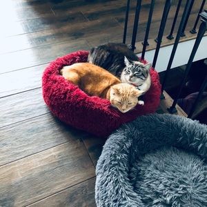 Meet your Posher, Diane